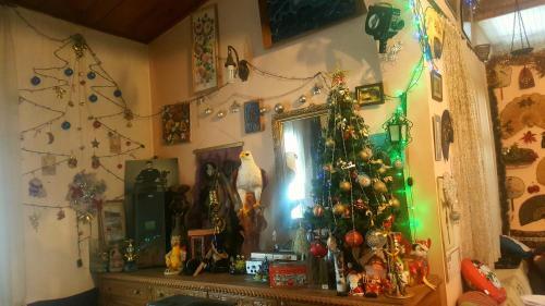 Тбилиси: Nino Gelashvili Guesthouse