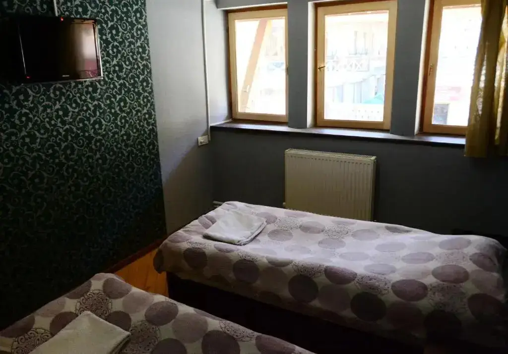 Местиа: Daeli Hotel