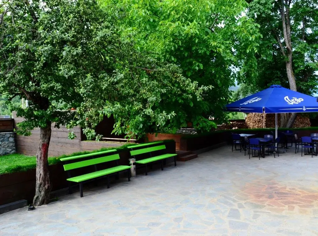 Местиа: Daeli Hotel