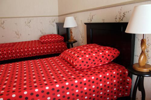Тбилиси: Nest Hostel