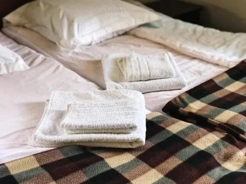 Местиа: Hotel SVAN-SKI