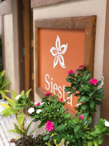 Маафуши (Атолл Каафу): Siesta Inn at Maafushi