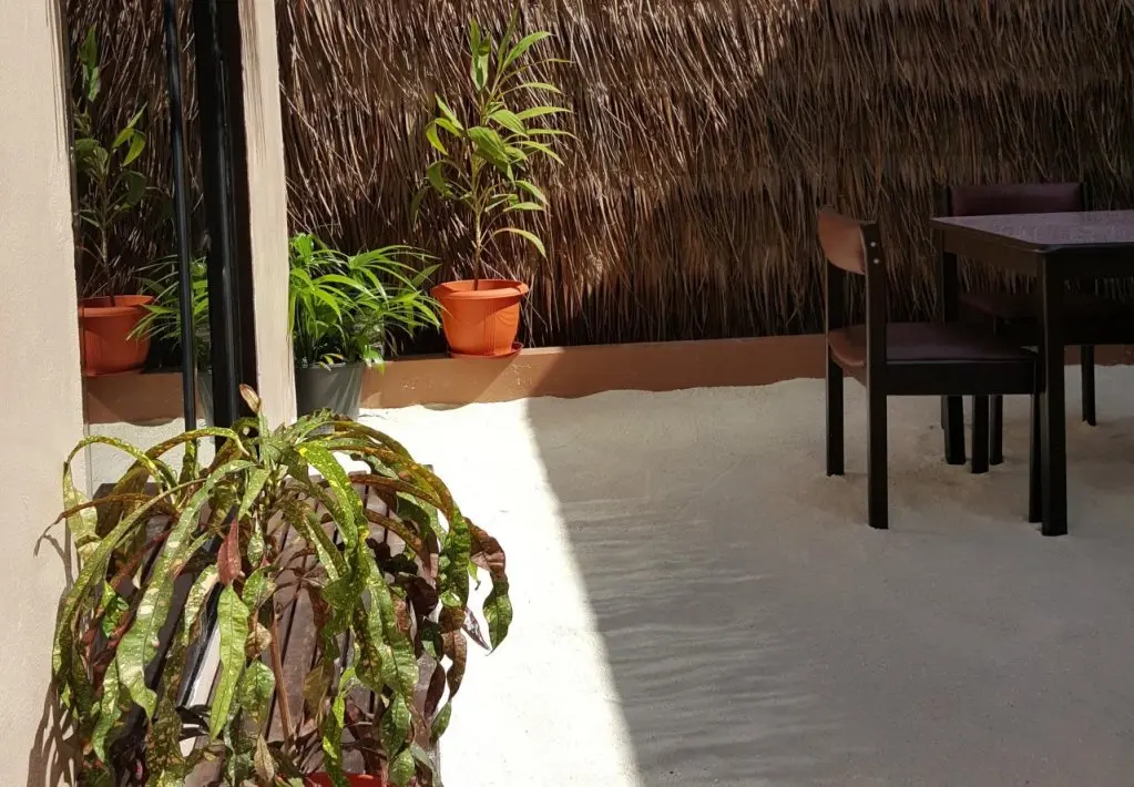 Маафуши (Атолл Каафу): Siesta Inn at Maafushi