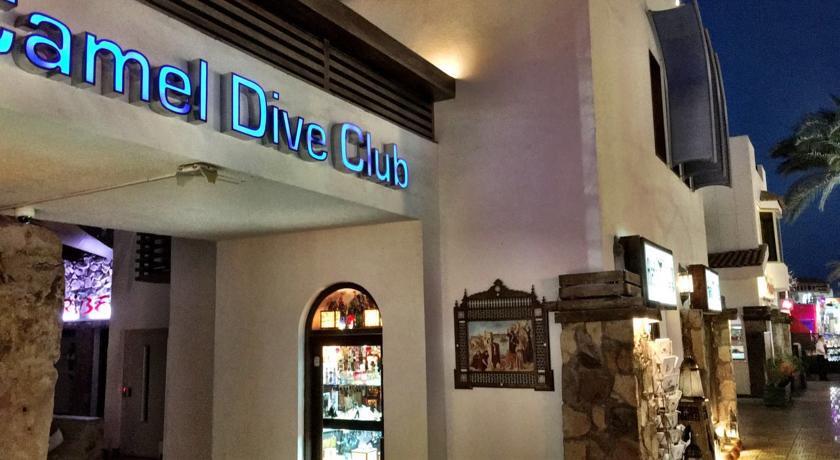 Camel Dive Club & Hotel — фото 1