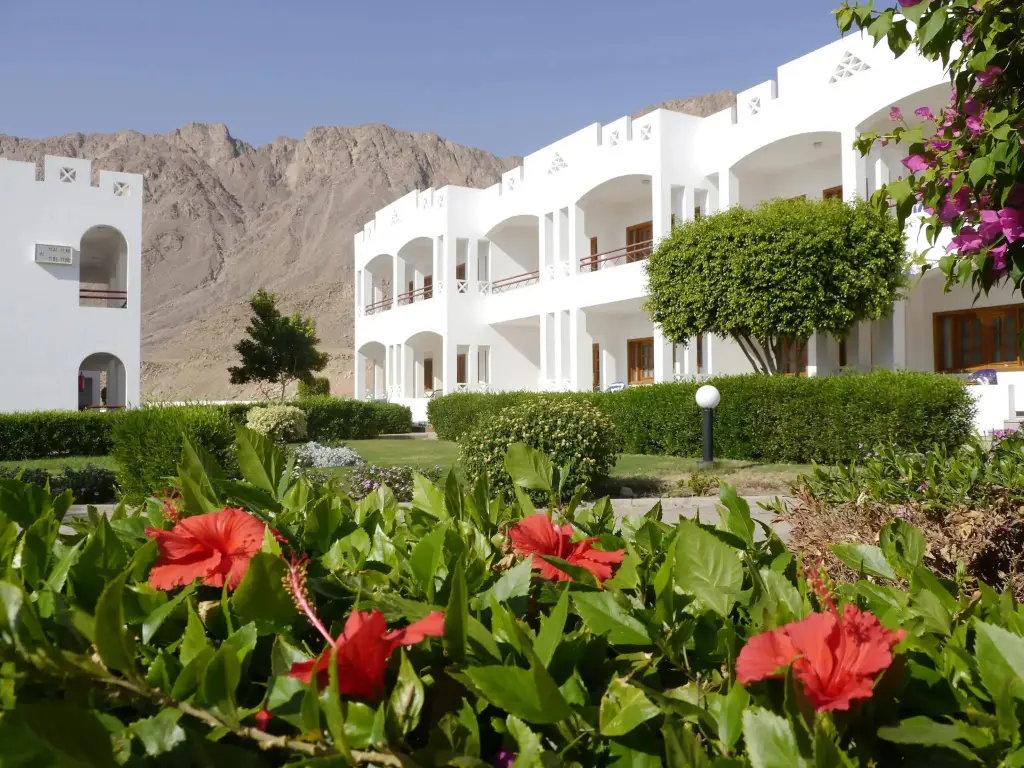 Happy Life Village Dahab	 — фото 1