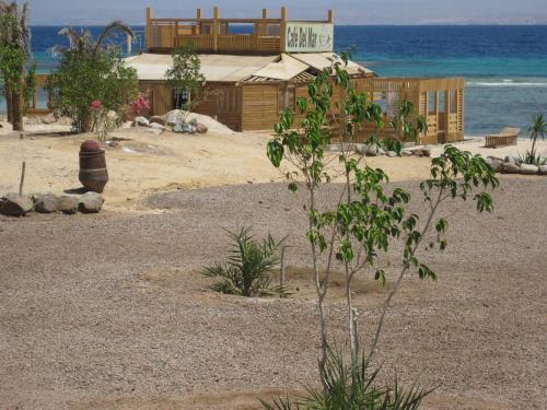 Нувейба: Bella Sina Beach