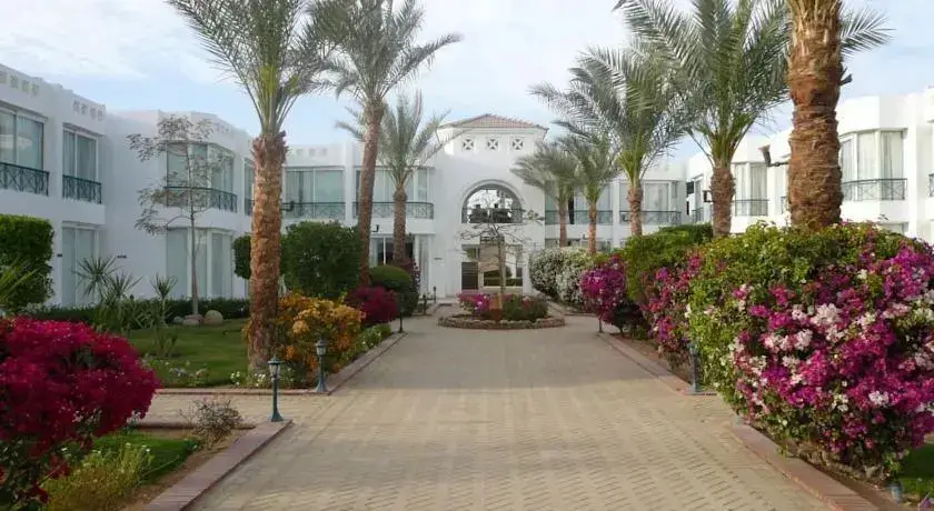 Amarante Garden Palms — фото 1