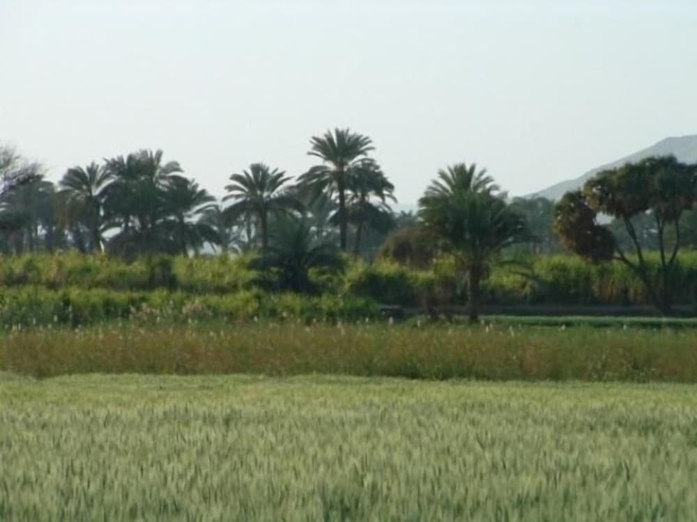 Луксор: Home Sweet Home Luxor Apartments