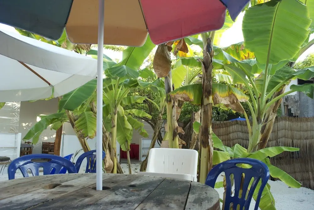 Северный атолл Мале: Maldives Seashine Guesthouse