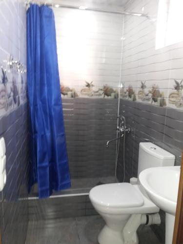 Кутаиси: Hostel Darejani