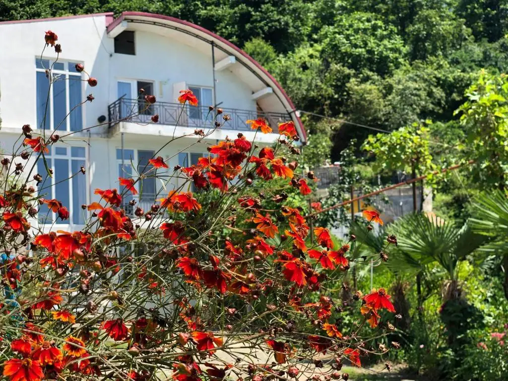 Батуми: Sanni Guest House