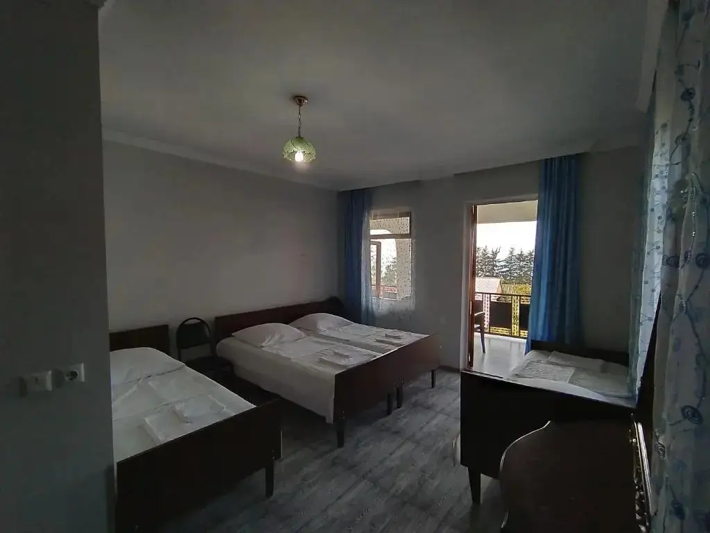 Батуми: Guest House TeNi