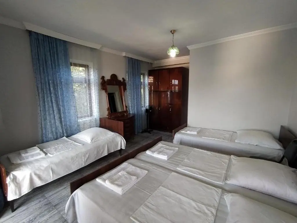 Guest House TeNi — фото 1
