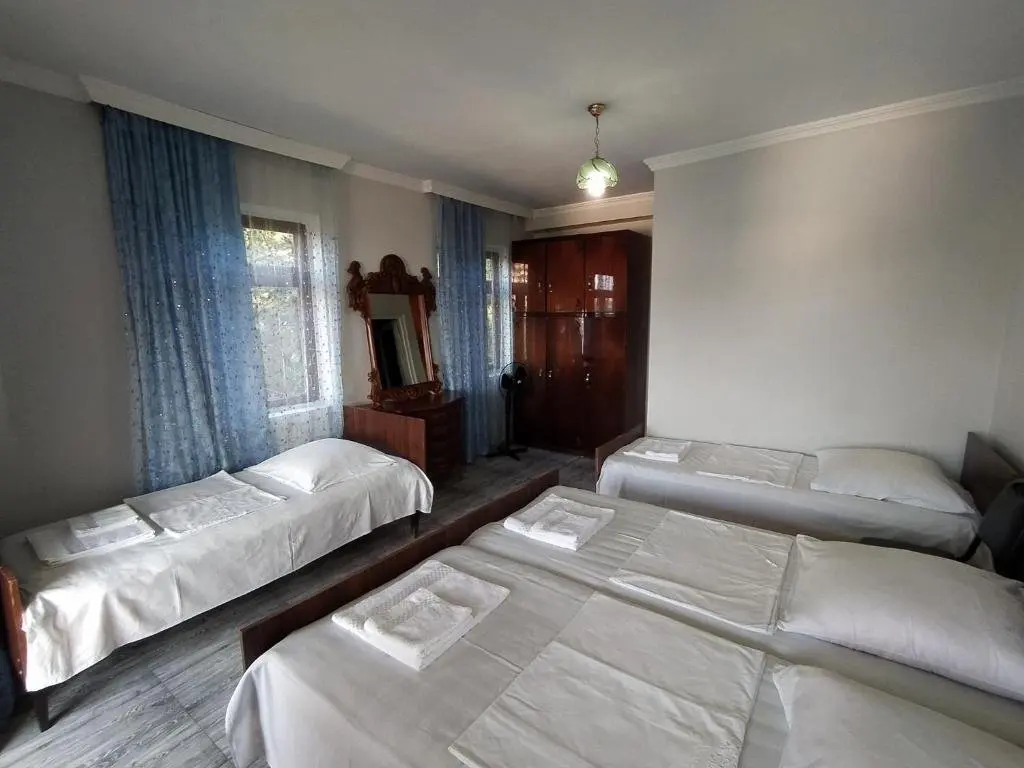 Батуми: Guest House TeNi