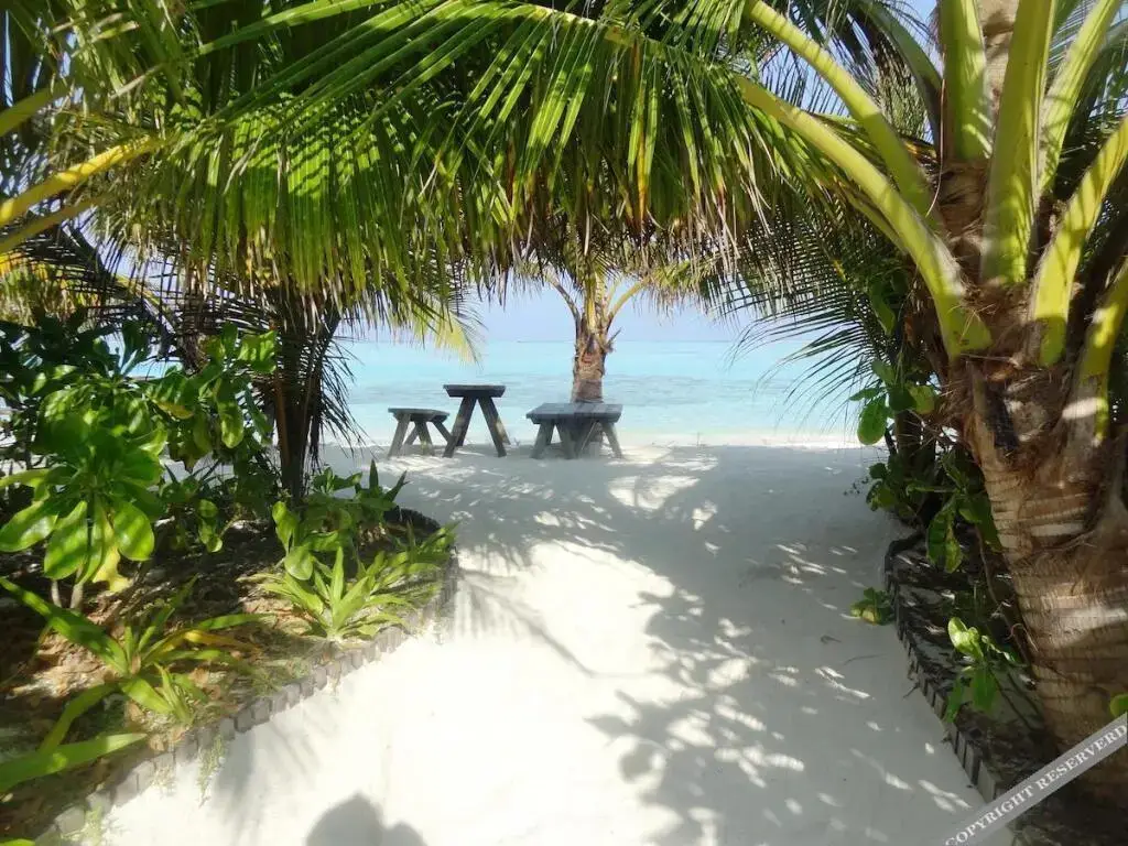 Южный Мале Атол: Coral Heaven Maldives