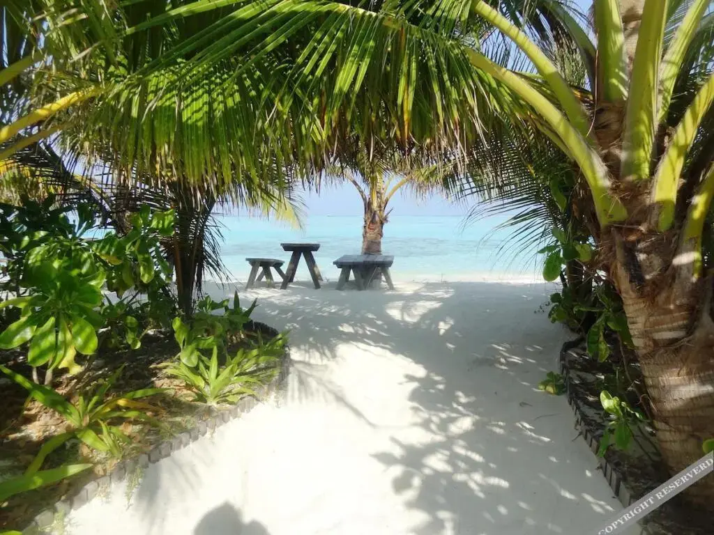 Южный Мале Атол: Coral Heaven Maldives