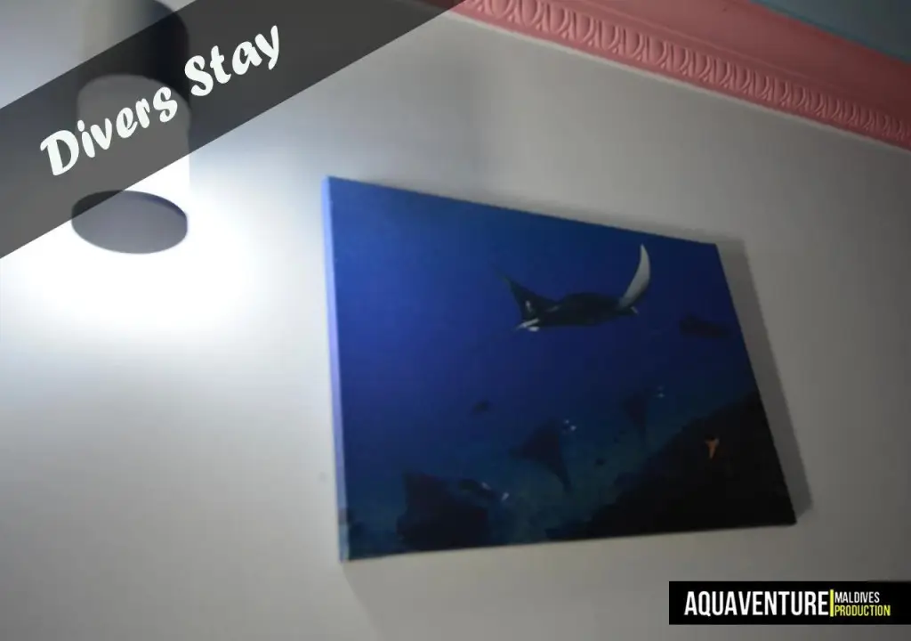Атолл Адду: Aquaventure Manta Lodge - Scuba Divers