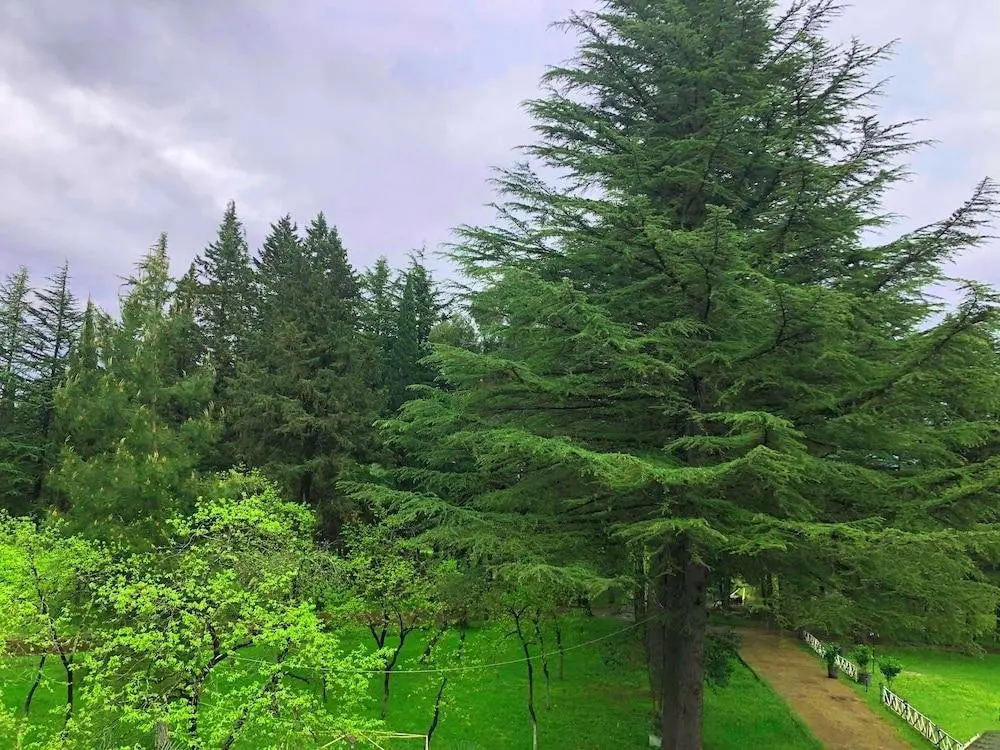 Кутаиси: Отель Park Hotel Imeri