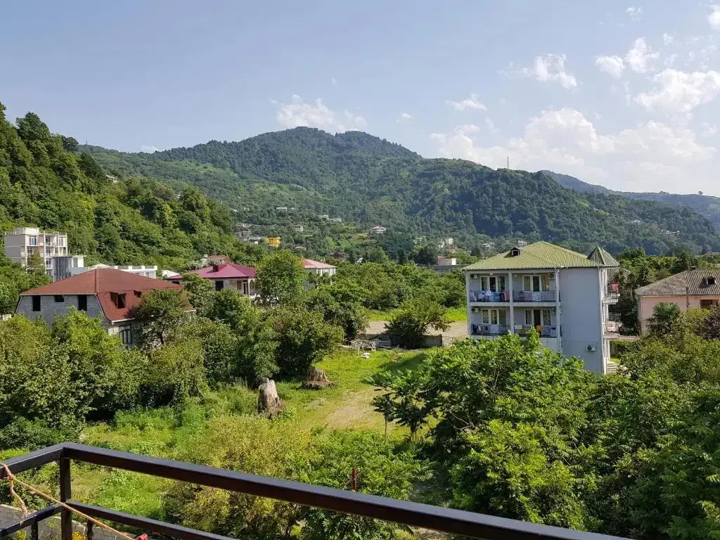 Батуми: Vizitori Hotel