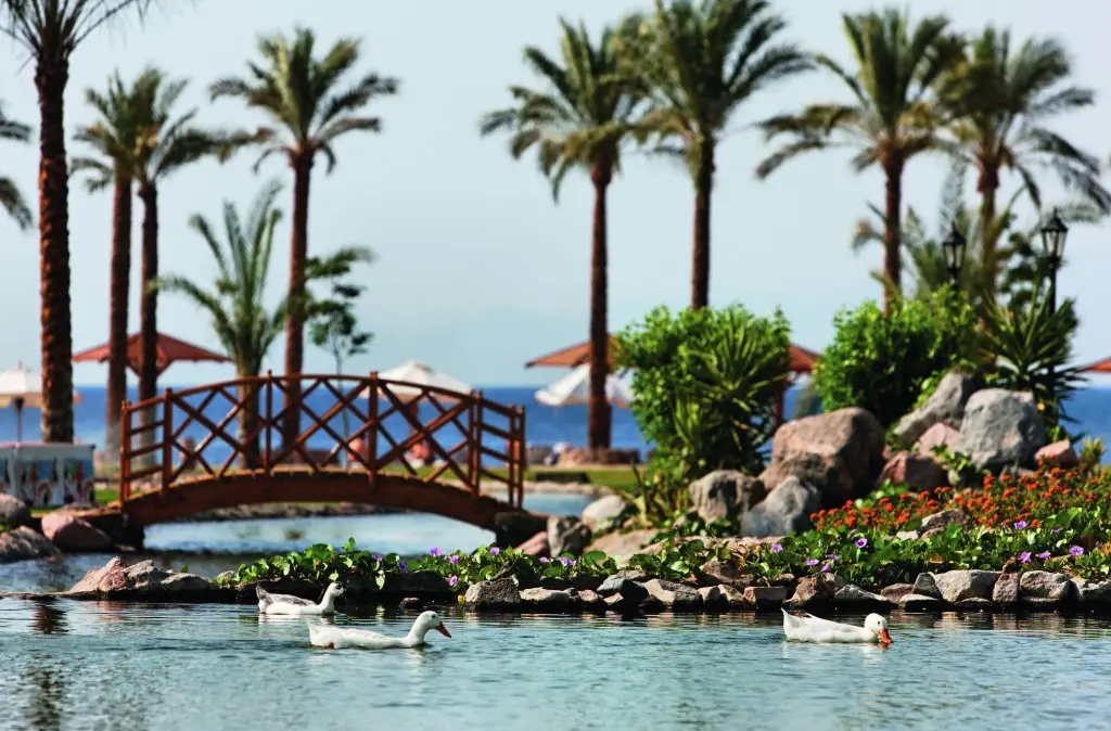 Таба: Mövenpick Resort Taba