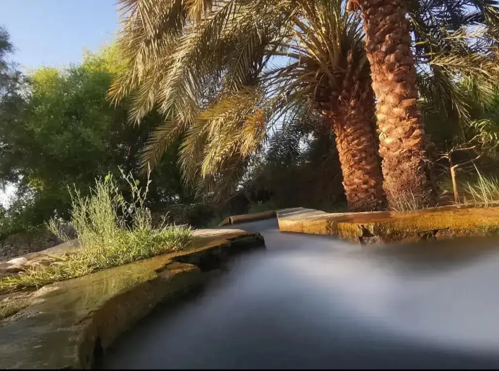 Аль-Бавити: Ahmed Safari Camp & hotel