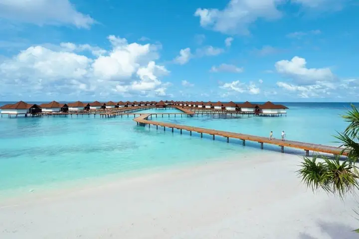 Атолл Гаафу-Алиф: Robinson Maldives - Adults only
