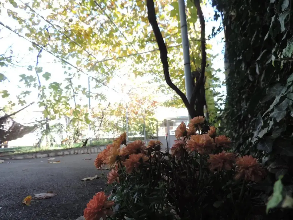 Телави: Tetriani Guesthouse