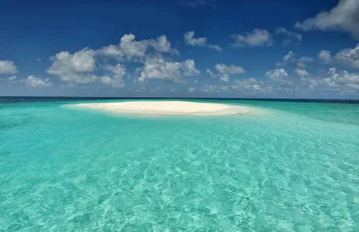 Южный Мале Атол: White Shell Beach Inn