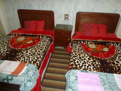 Каир: Venus Hostel