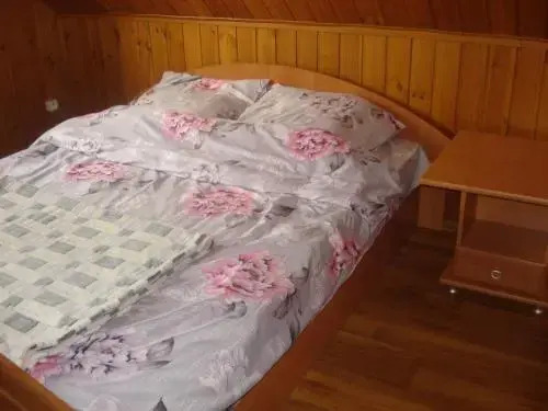 Брест: Banyadom V Breste Guest House