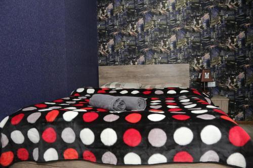 Кутаиси: Elma Hostel