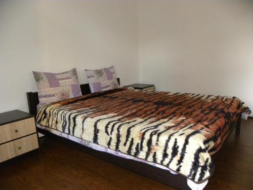 Кутаиси: Elma Hostel
