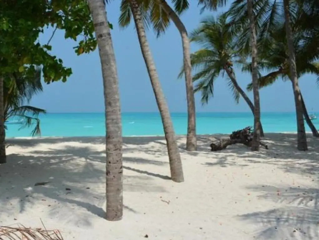 Атолл Хаа-Алиф: The Lagoon of Vashafaru
