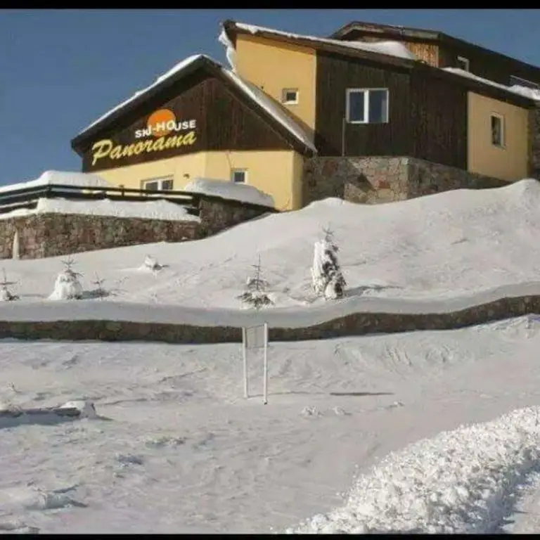 Гудаури: Мини-Отель Ski House Panorama