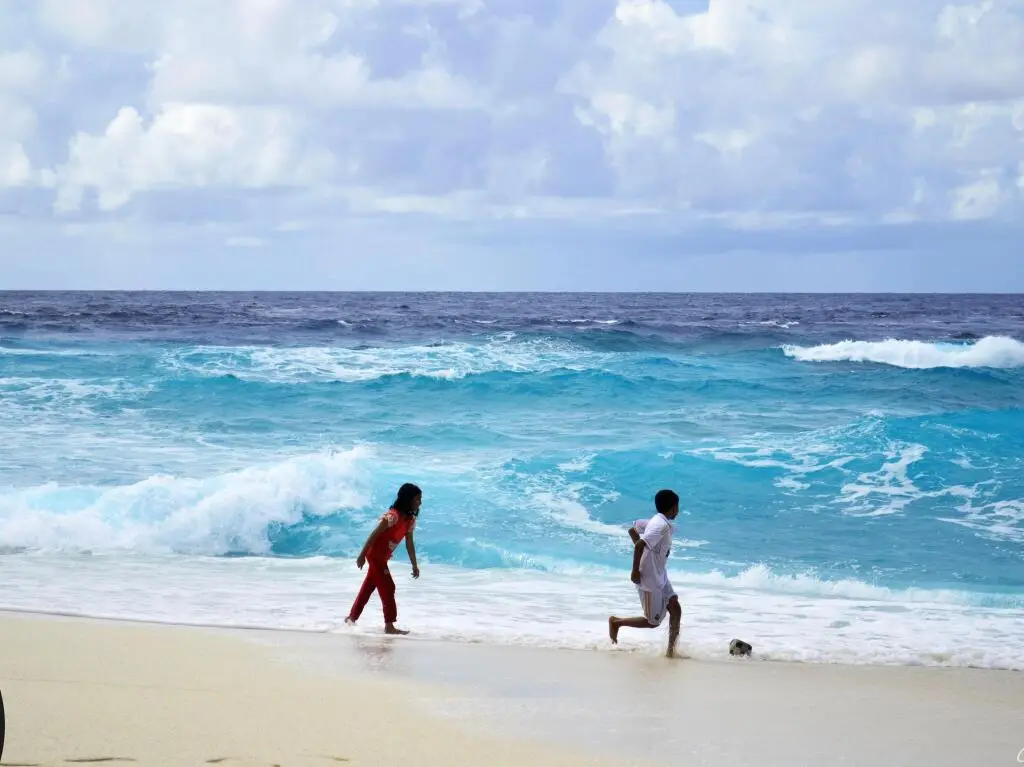 Фувамула: Viluxer Retreat Maldives