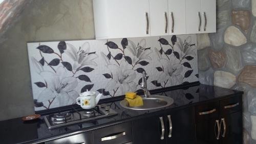 Боржоми: Tolo,s guest house