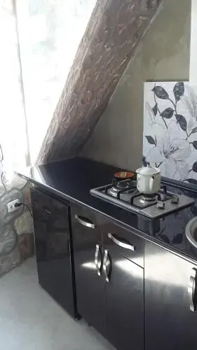 Боржоми: Tolo,s guest house