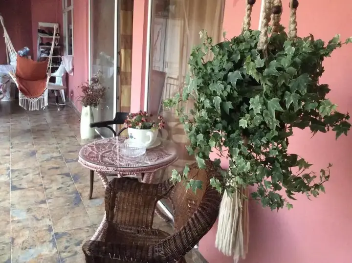 Батуми: Apartment Maisi