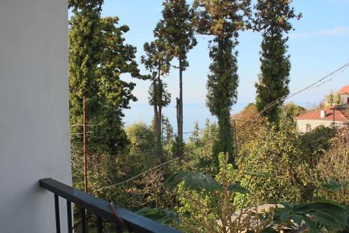 Батуми: Guest House Zorbeg