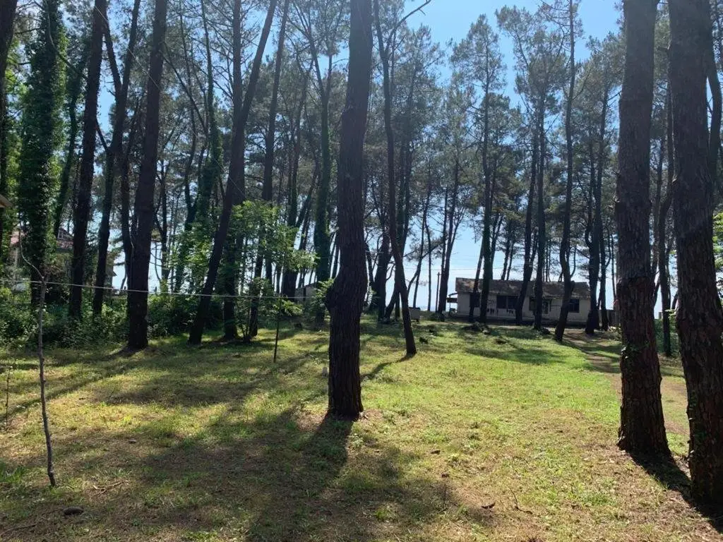 Шекветили: Shekvetili Beach House