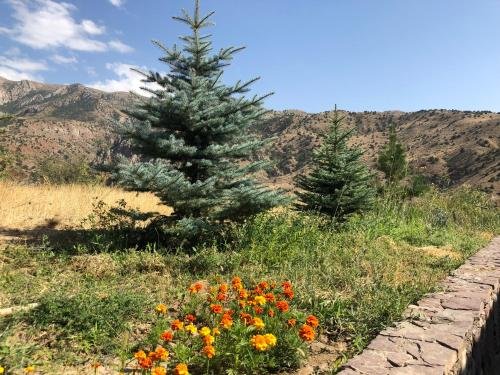 Лусарат: Eco Lodge in the Caucasus Wildlife Refuge