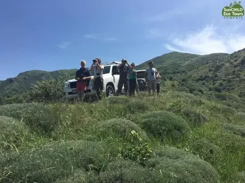 Лусарат: Eco Lodge in the Caucasus Wildlife Refuge