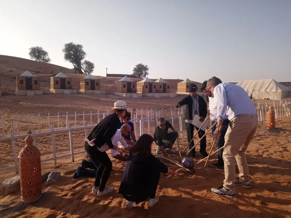 Умм эль-Кувейн: Bedouin Oasis Camp