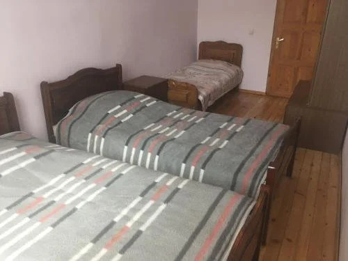 Бакуриани: Saba Hotel