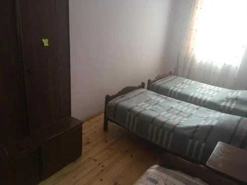 Бакуриани: Saba Hotel