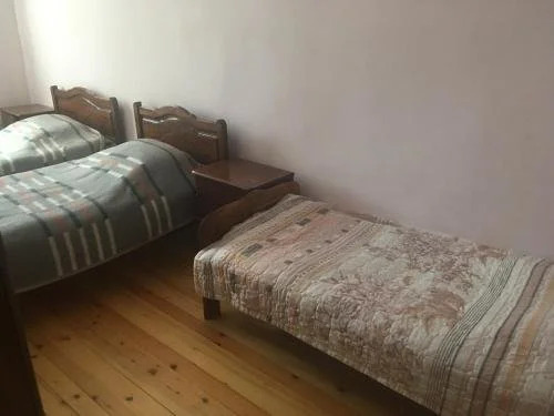 Бакуриани: Saba Hotel