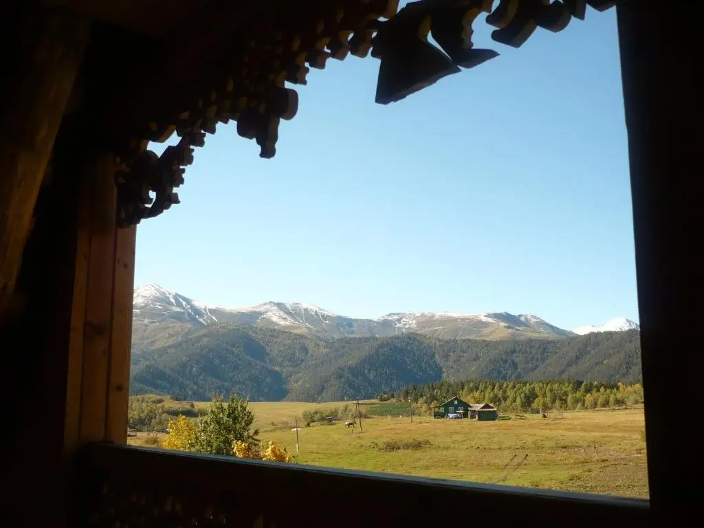Омало: Guesthouse Javakhe