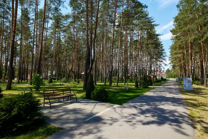 Боровики: Radon