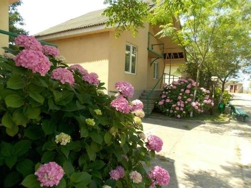 Поти: Hotel Lashtani
