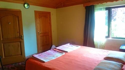 Батуми: Batumi Homestay at Tamar Mephe Avenue
